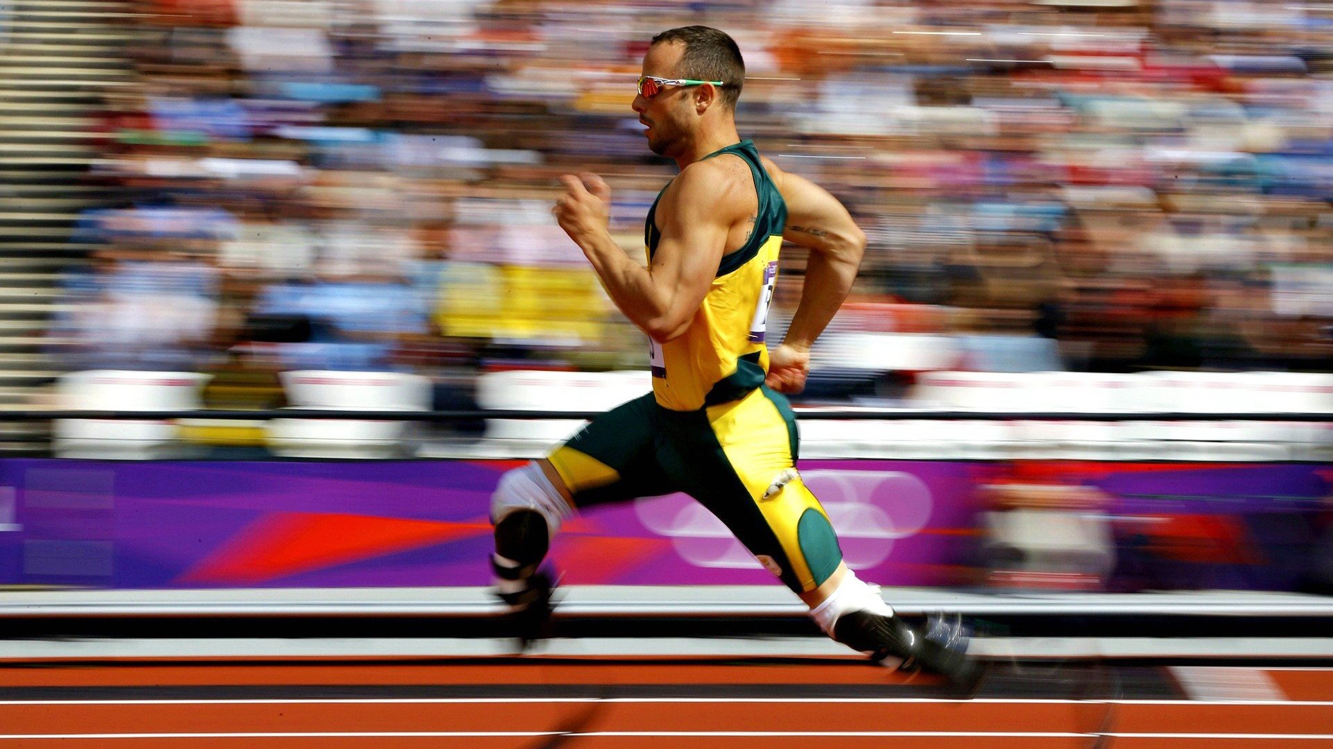 _悉尼本土公开赛:新一期全国冠军花落谁家?_,悉尼国际赛