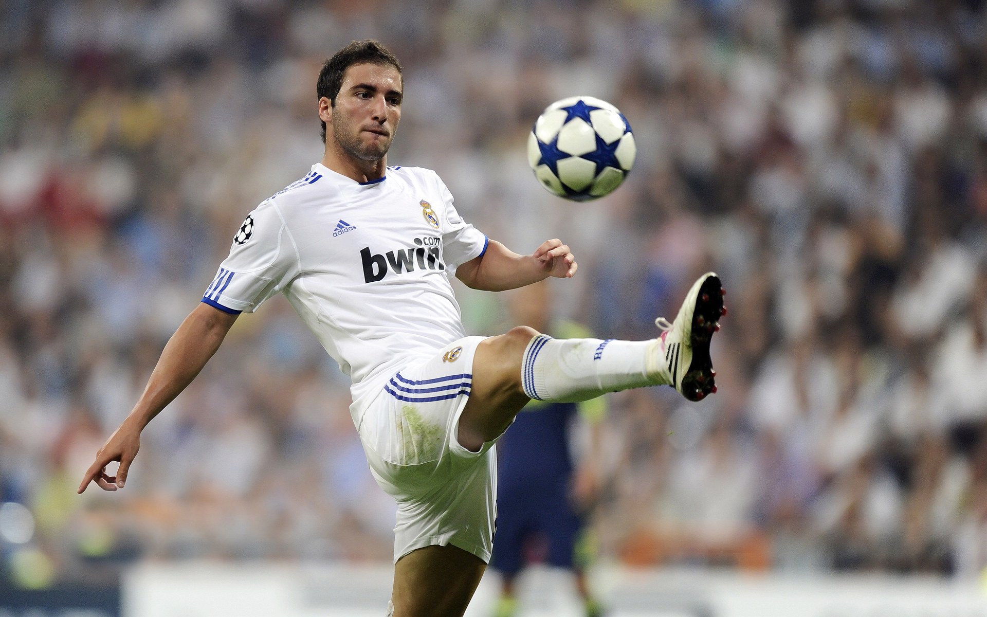 动作规范性与世界顶尖水平同步提升，动作规范到位